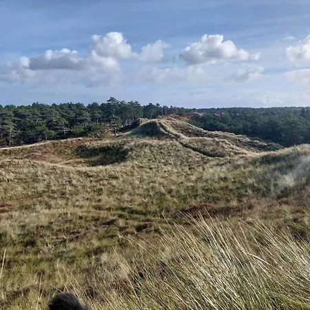 6 Person In Thyholm-by Traum