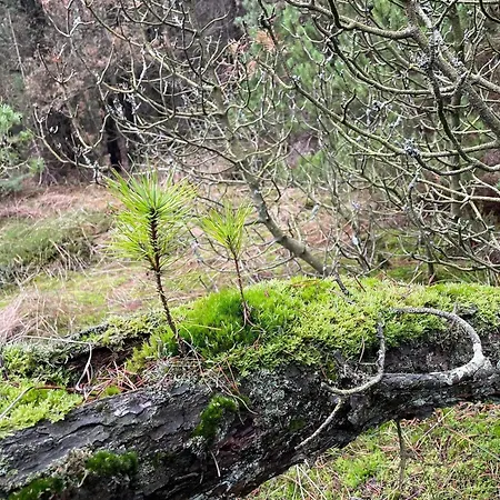 6 Person In Thyholm-by Traum *