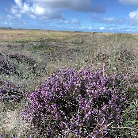 6 Person In Thyholm-by Traum * Thyholm