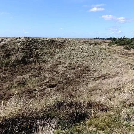 6 Person In Thyholm-by Traum *