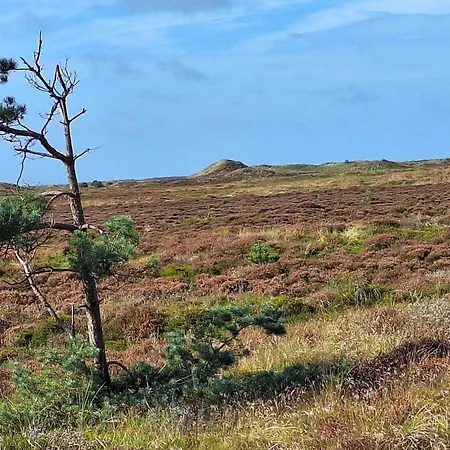 6 Person In Thyholm-by Traum *