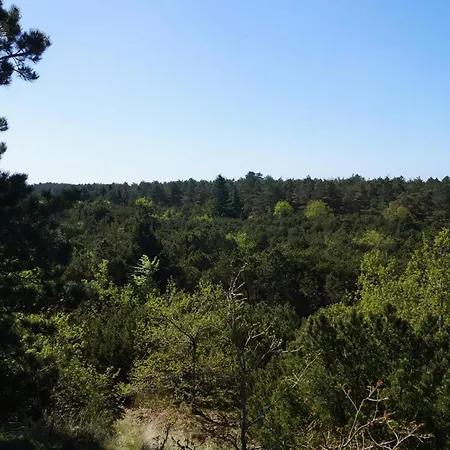 6 Person In Thyholm-by Traum * Thyholm